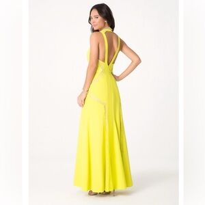 NWT - Bebe lace illusion maxi dress - 4
